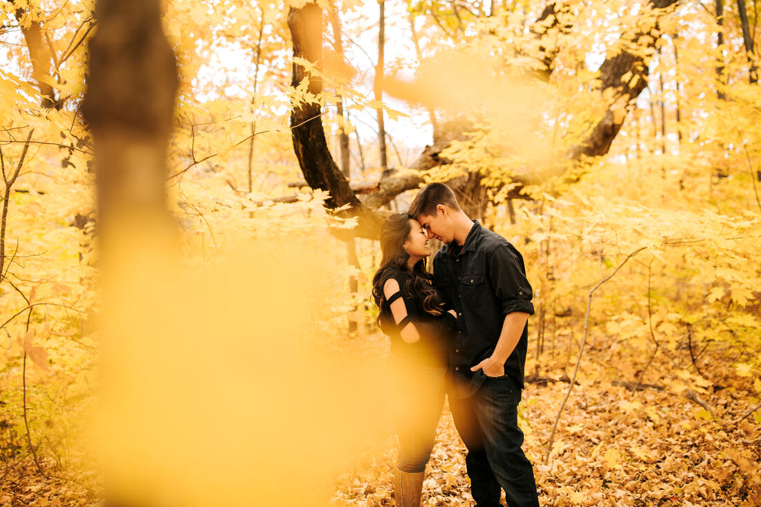 twin cities engagement photos